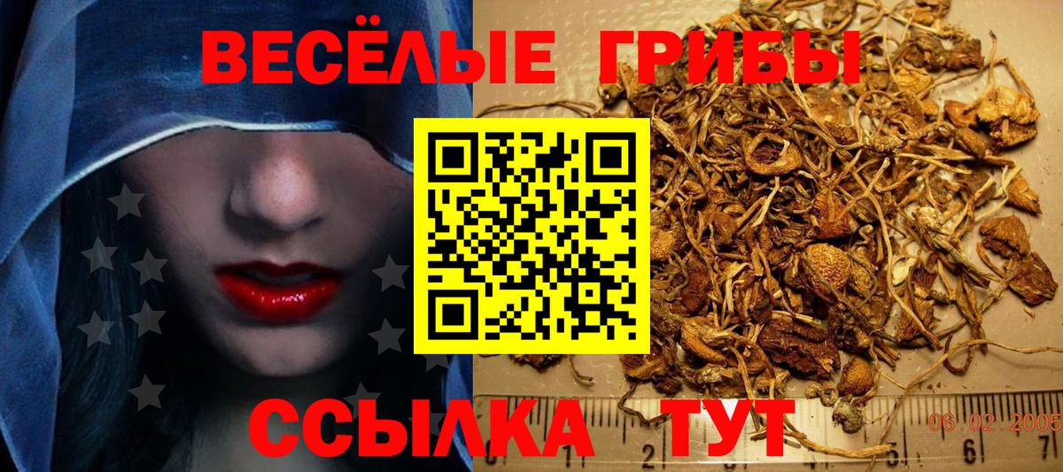 Галлюциногенные грибы MAGIC MUSHROOMS Щёлково