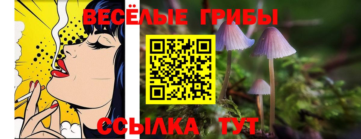 Щёлково  Псилоцибиновые грибы мицелий  Вход с VPN 