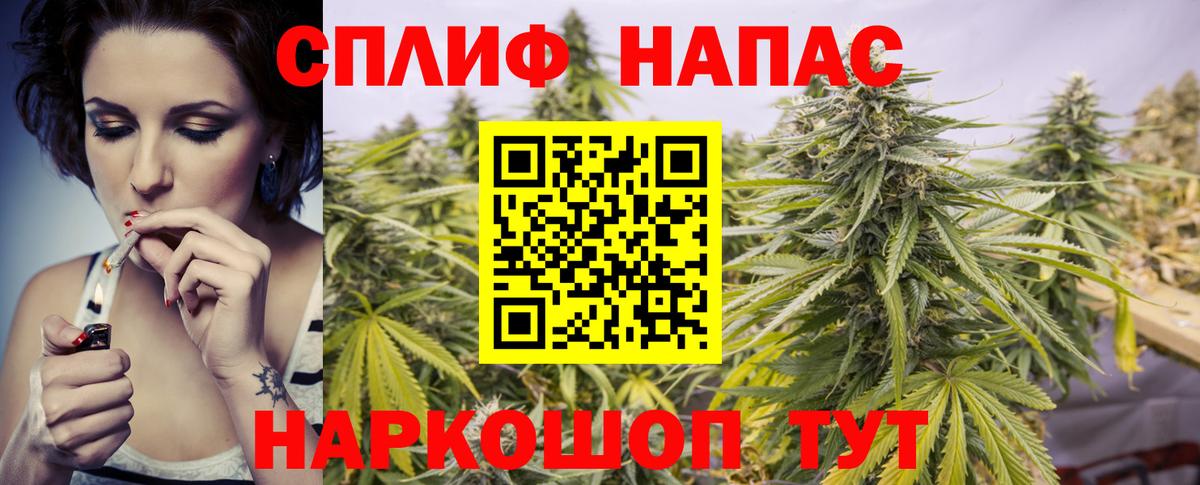 МАРИХУАНА сатива Щёлково